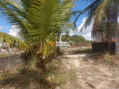 Terreno, 3 hectares - Foto 4