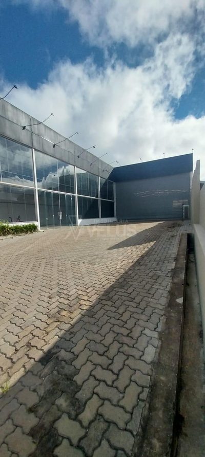 Depósito-Galpão, 1300 m² - Foto 3