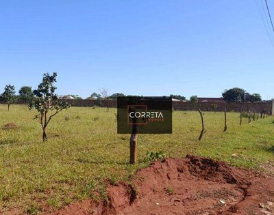 Chácara, 1 quarto, 5278 m² - Foto 3