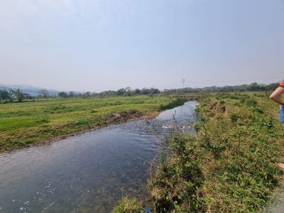 Terreno, 10000 m² - Foto 2