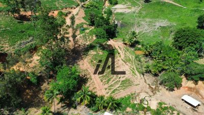 Fazenda, 82 hectares - Foto 4