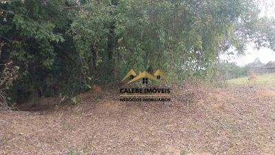 Terreno, 4000 m² - Foto 2