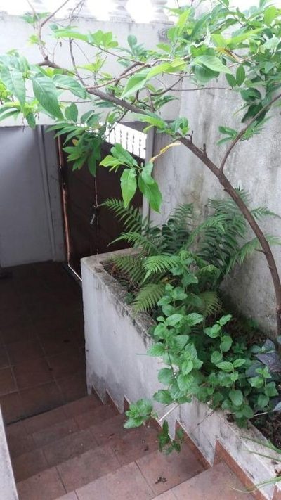 Casa, 2 quartos, 270 m² - Foto 3