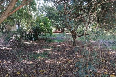 Terreno, 1050 m² - Foto 2