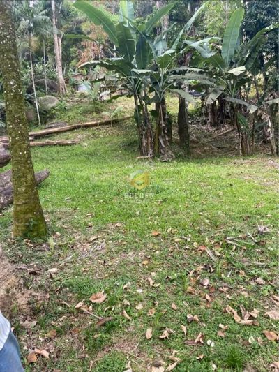 Terreno, 4000 m² - Foto 1