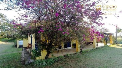 Sítio, 4 quartos, 44 hectares - Foto 4