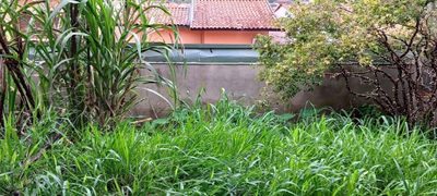 Terreno, 250 m² - Foto 1
