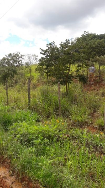 Terreno, 360 m² - Foto 3