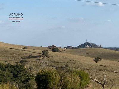 Terreno, 54 hectares - Foto 1