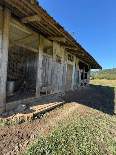 Terreno, 8 hectares - Foto 4