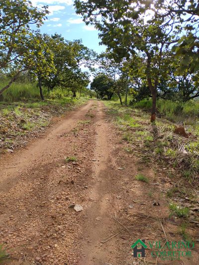 Terreno, 2 hectares - Foto 3