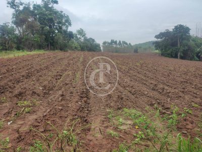 Terreno, 3 hectares - Foto 4