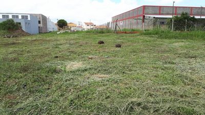 Terreno, 4200 m² - Foto 5