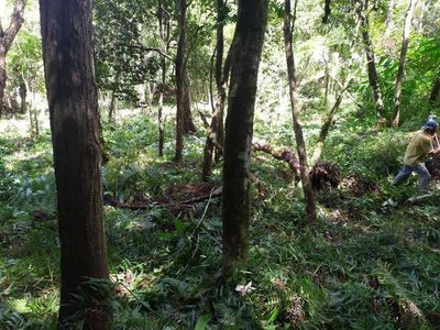 Prédio Inteiro, 10000 m² - Foto 3