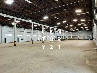 Depósito-Galpão, 4316 m² - Foto 5