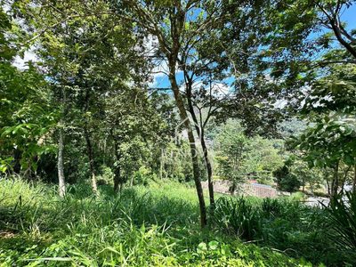 Terreno, 796 m² - Foto 3