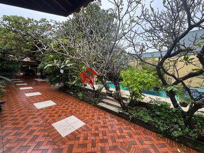 Terreno, 378 hectares - Foto 3