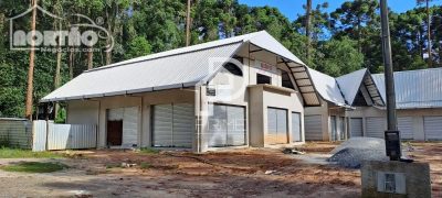 Casa, 13 quartos, 50 m² - Foto 5