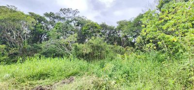 Terreno, 7000 m² - Foto 4