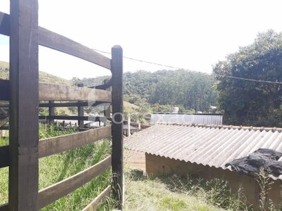 Sítio, 1 quarto, 500 m² - Foto 1
