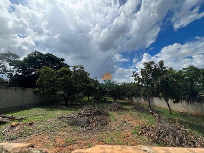 Terreno, 1038 m² - Foto 1