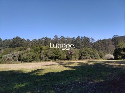 Sítio, 2501 m² - Foto 4