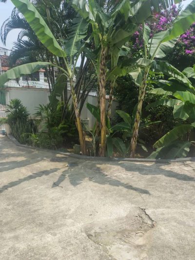 Casa de Condomínio, 2 quartos - Foto 2