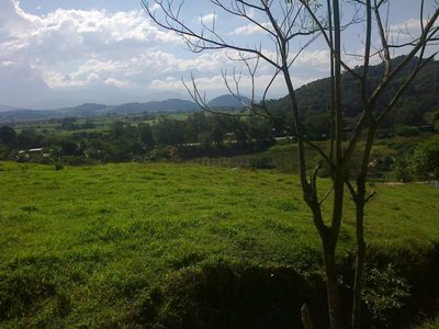 Fazenda, 22 hectares - Foto 5