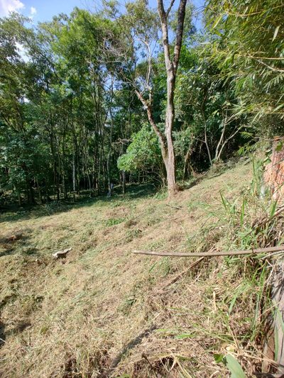 Terreno, 1250 m² - Foto 3