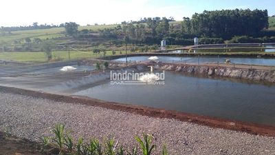 Sítio, 1 quarto, 10 m² - Foto 1