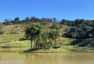 Terreno, 1000 m² - Foto 3