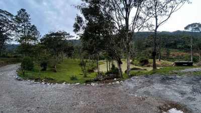 Terreno, 10000 m² - Foto 1