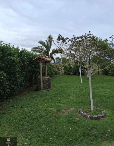 Chácara, 4 quartos - Foto 4