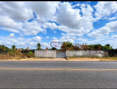 Terreno, 10000 m² - Foto 2
