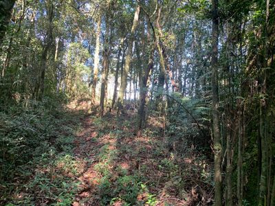 Terreno, 2 hectares - Foto 1