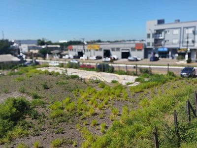 Terreno, 1408 m² - Foto 3