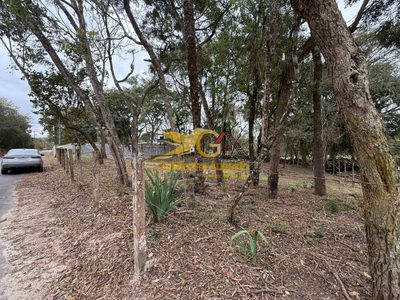 Terreno, 2233 m² - Foto 4