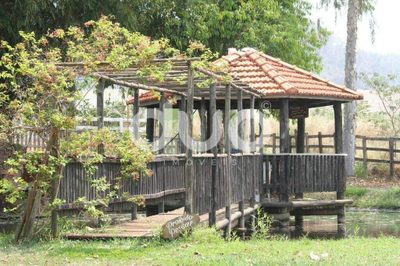 Sítio, 19 quartos, 15 hectares - Foto 4