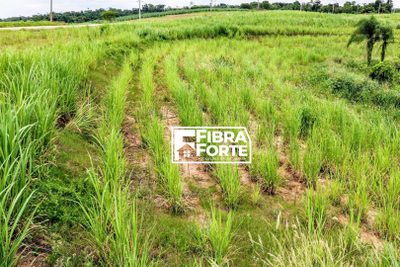 Terreno, 12 hectares - Foto 4