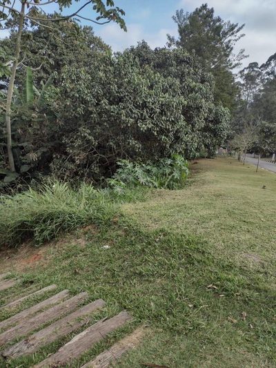 Terreno, 704 m² - Foto 1