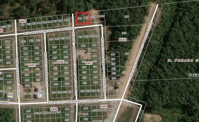 Terreno, 300 hectares - Foto 2