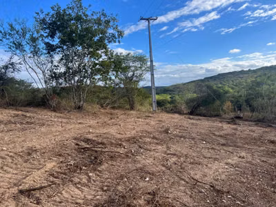 Terreno, 1 hectares - Foto 4