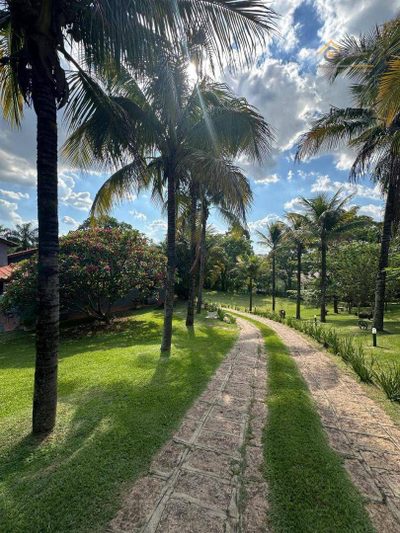 Chácara, 4 quartos, 5000 m² - Foto 4