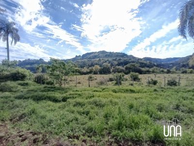Sítio, 2 hectares - Foto 2
