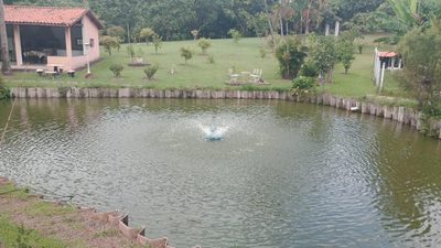 Chácara, 4 quartos, 1 hectares - Foto 4