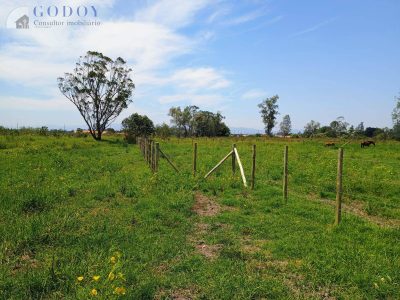 Terreno, 3000 m² - Foto 4