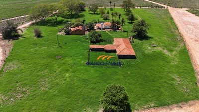 Fazenda, 160 hectares - Foto 1