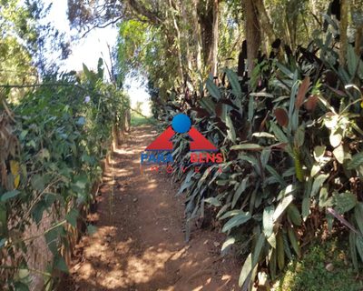Fazenda, 4 quartos - Foto 5