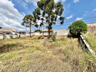 Terreno, 3600 m² - Foto 5