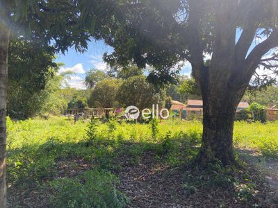 Terreno, 2360 m² - Foto 5